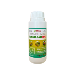 AMINO A40 HAL